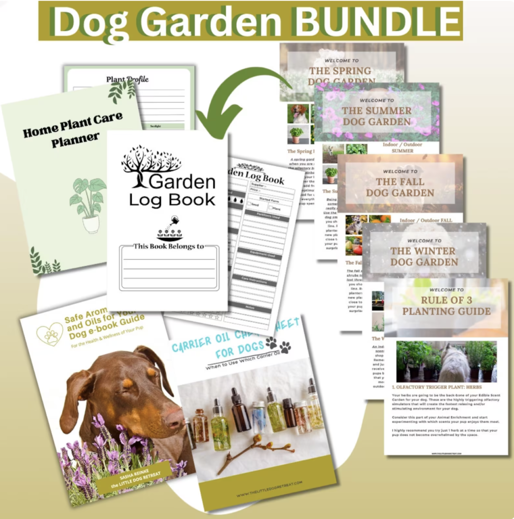 dog garden, dog safe plants